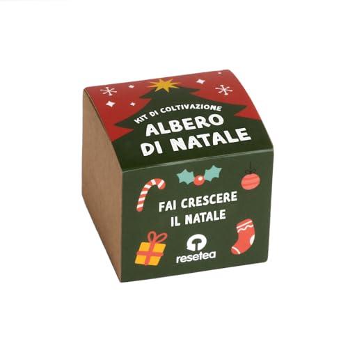 Kit Albero di Natale Resetea - Coltiva il Tuo Albero Natalizio