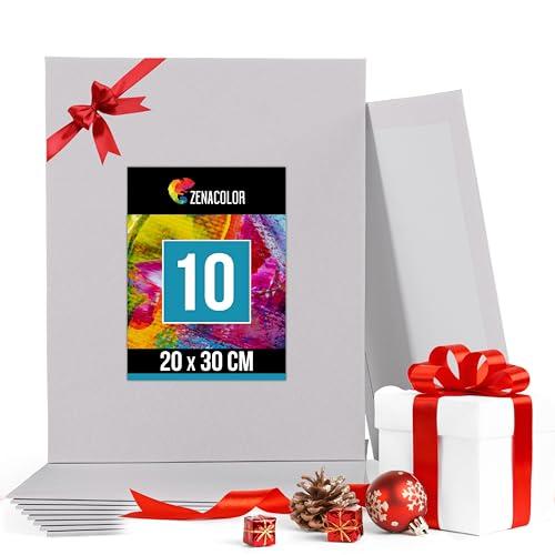 Zenacolor Set di 10 Tele per Dipingere 20x30 cm