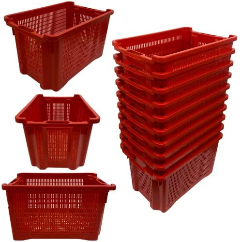 Cassetta Agricola con Fondo Traforato - 40 Litri