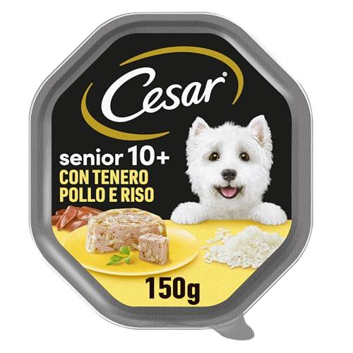 Cesar Senior 10+ Cibo per Cane con Tenero Pollo e Riso