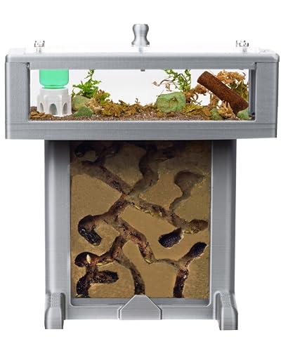 Anthouse.es - Formicaio in Schiuma 3D Kit T Grigio con Formiche Incluse