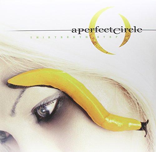 A Perfect Thirteenth Step: Un Viaggio nell'Anima Umana con A Perfect Circle