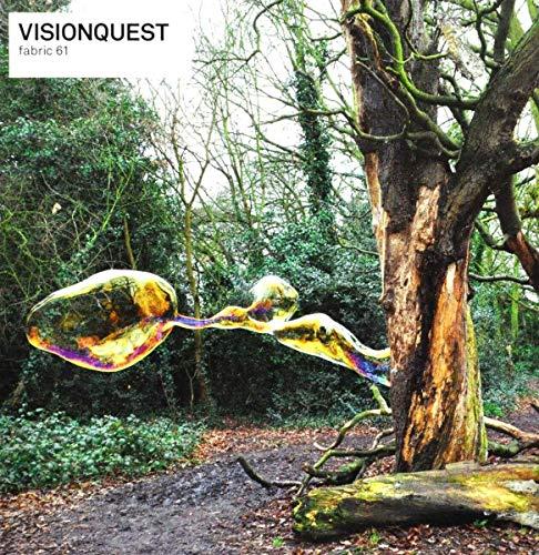 Fabric, Vol. 61: Visionquest