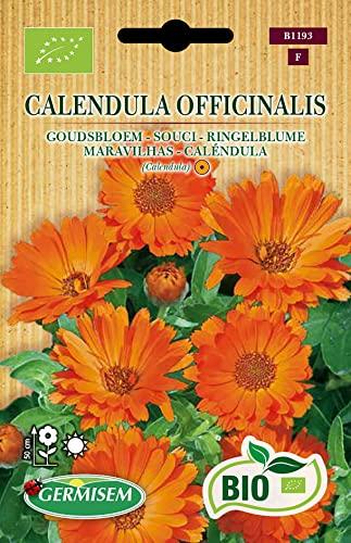Semi Biologici di Calendula Officinalis - Germisem
