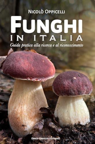 Funghi in Italia. Guida pratica alla ricerca e al riconoscimento