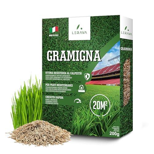 LERAVA® Semi Gramigna per Prato Calpestabile - 20m²