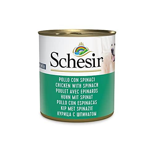 Schesir, Cibo Umido per Cani Adulti al Gusto Pollo con Spinaci, Filetti in Morbida Gelatina - Totale 4,56 Kg (16 Lattine da 285G)