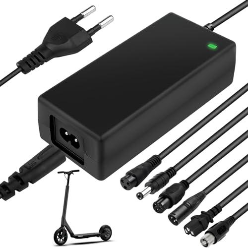 Caricabatterie per Hoverboard 42V 2A con Connettori Multipli