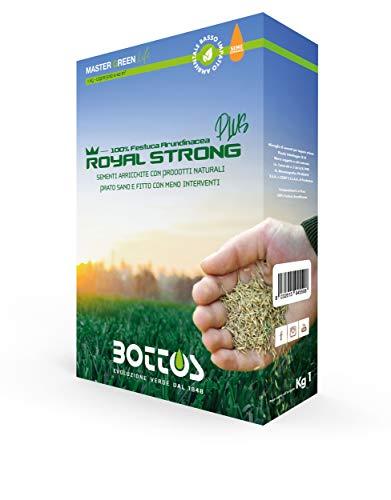 Semi per Prato Royal Strong Plus 1 Kg - Bottos