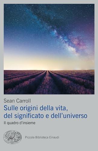 Sulle origini della vita, del significato e dell'universo: Il quadro d'insieme