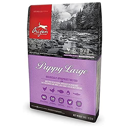Orijen Six Fish Adult Dog Food 6 kg