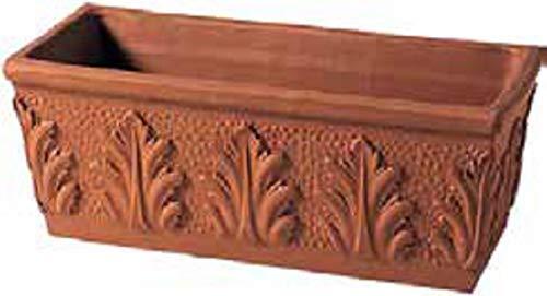Fioriera Rettangolare in Terracotta con Foglie in Rilievo - 52 cm