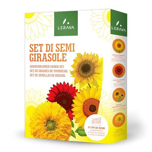 LERAVA® Set di Semi Girasoli - (4 VARIETÀ) - Girasole gigante alto giallo, Gigante Rosso, Ornamentale nano, Sungold Teddy