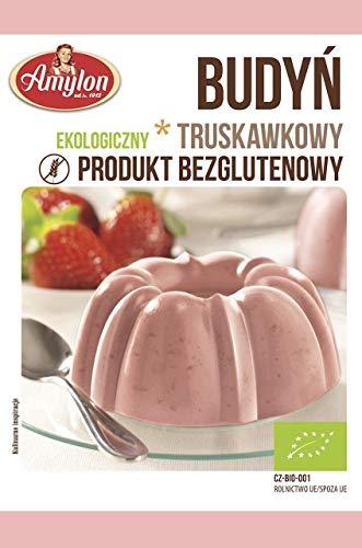 Budino alla Fragola Bio Senza Glutine Amylon 40g