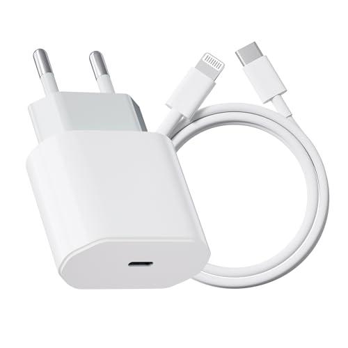 Caricabatterie Rapido per iPhone 20W con Cavo USB-C da 2M
