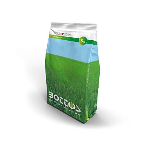 Bottos MACISTE - Sementi per Prato Resistente alla Siccità 5Kg