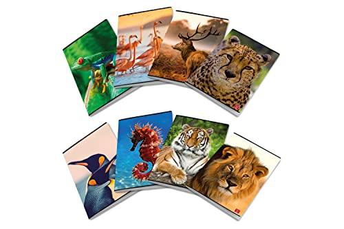 Pigna ANIMAL, Maxi Quaderni A4 Quadretto 10, 1 cm, Confezione da 10 Pezzi