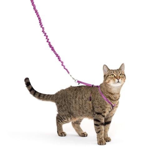 PetSafe Come With Me Kitty Pettorina e Guinzaglio Elastico per Gatti