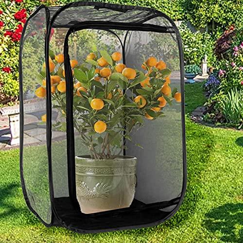 Rete Pieghevole per Habitat Insetti e Farfalle - Terrario Pop-Up 30x30x30 cm