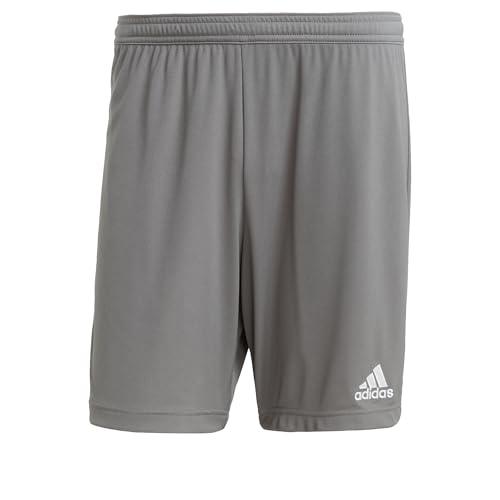 adidas Uomo Entrada 22 Shorts, Team Grey Four, L
