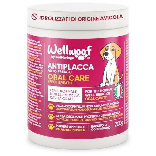 Wellfoof Integratore per Pulizia Denti Cane - Tartaro Zero con Ascophyllum Nodosum