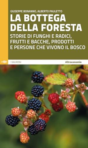 La bottega della foresta