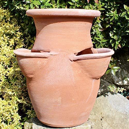 Fragoliera in Terracotta - Vaso per Piante e Fiori
