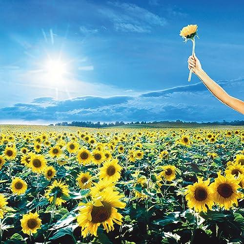 Alanis Morissette - Thank You (Vinyl Black)