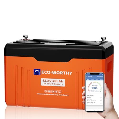 ECO-WORTHY Batteria al Litio LiFePO4 12V 300Ah con Bluetooth e Protezione BMS