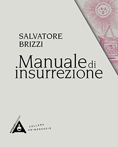 Manuale di insurrezione