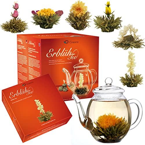 Set regalo di fiori di tè con teiera di vetro da 500 ml e tè bianco 6x - regalo per Natale