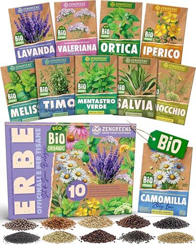 ZenGreens® - Set di Semi di Erbe Officinali e per Tisane bio (10 pezzi)