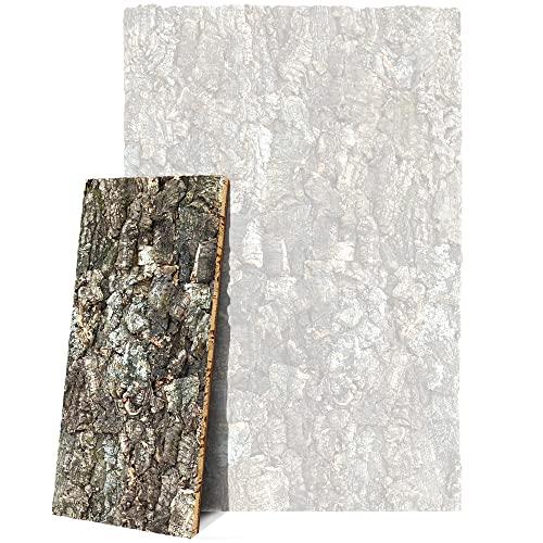 Pannello Decorativo in Sughero 3D per Terrari 60x30cm