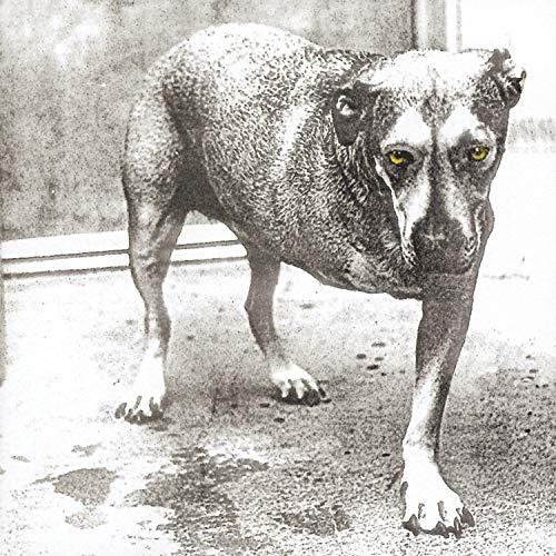 Alice in Chains - Album omonimo (1995)