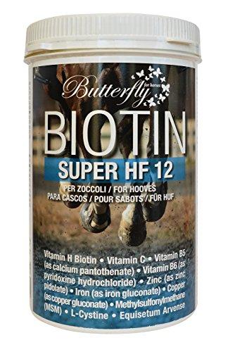 Officinalis Biotina Super HF 12 1 kg