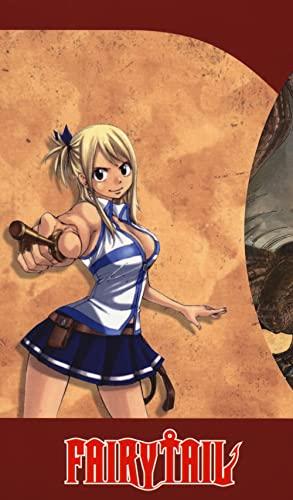 Fairy Tail Collection Box 9