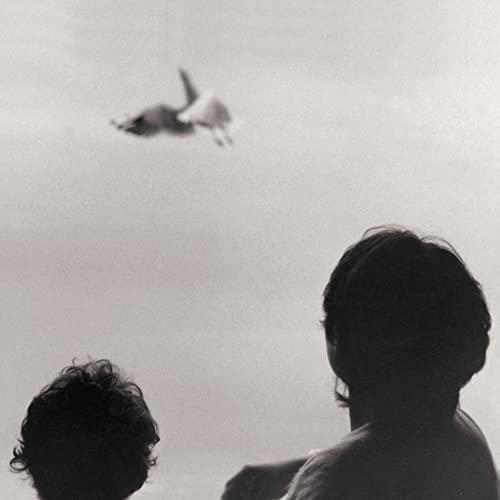 Federico Albanese - Blackbirds and the Sun of October (LP)