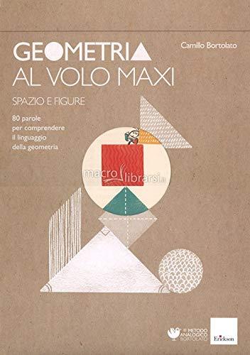 Geometria al volo maxi. 80 parole per comprendere il linguaggio della geometria. Spazio e figure