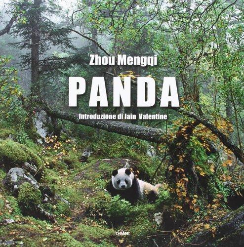 Panda - Mengqi Zhou