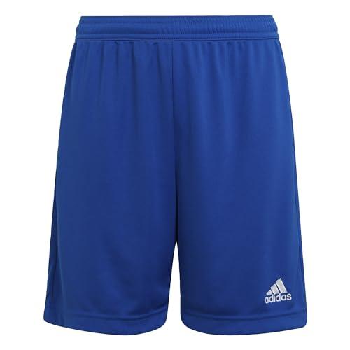 adidas Entrada 22 Shorts Junior - Royal Blue
