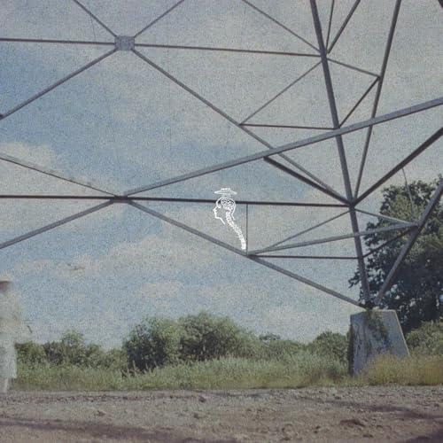 Flamingo Tower (Pink Vinyl)