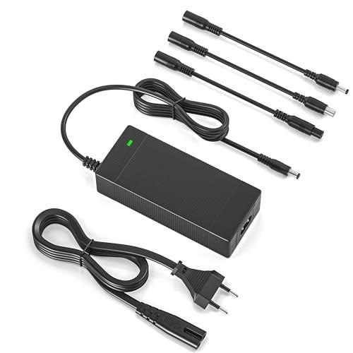 Caricatore Universale per Monopattini Elettrici 42V 2A con Multi-Connettore