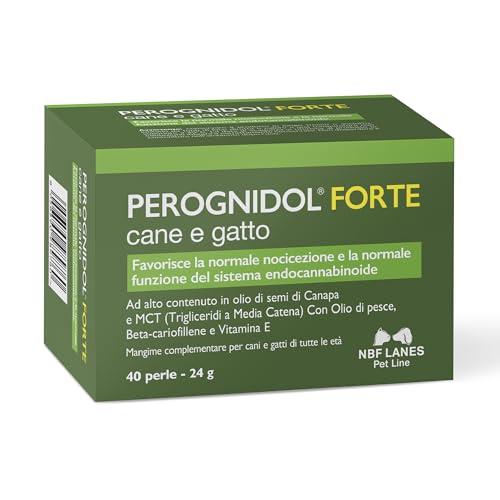 NBF Lanes Perognidol FORTE Cane e Gatto, 40 perle