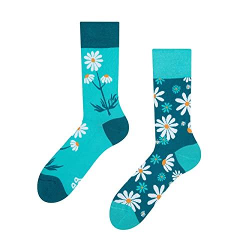 Dedoles Calzini Camomilla Unisex