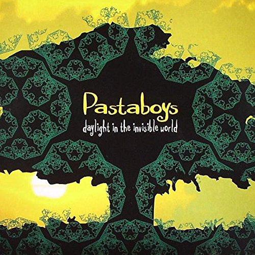 Daylight in the Invisible World [Vinile]