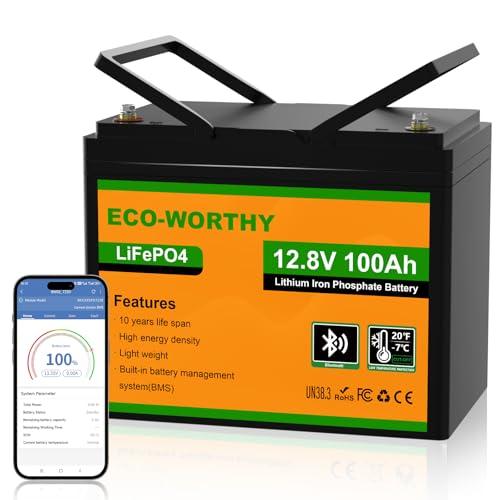 Batteria Litio LiFePO4 12V 100Ah Bluetooth ECO-WORTHY con Protezione a Bassa Temperatura