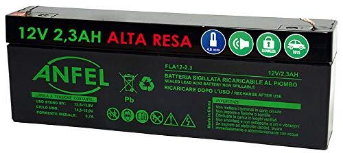 Batteria al Piombo Ricaricabile 12V 2.3Ah per Sistemi di Allarme e Sicurezza