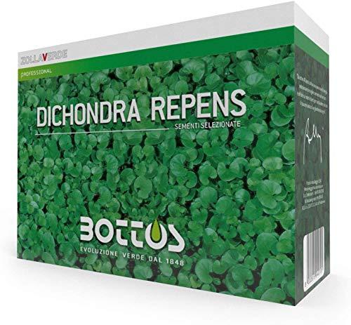 Bottos DICONDRA REPENS - Seme per Tappeto Erboso Ornamentale a Bassa Manutenzione