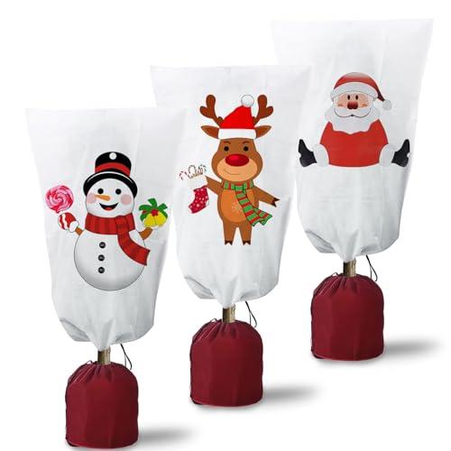 HIQE-FL Cappuccio Protezione Piante Invernale (Set da 2)