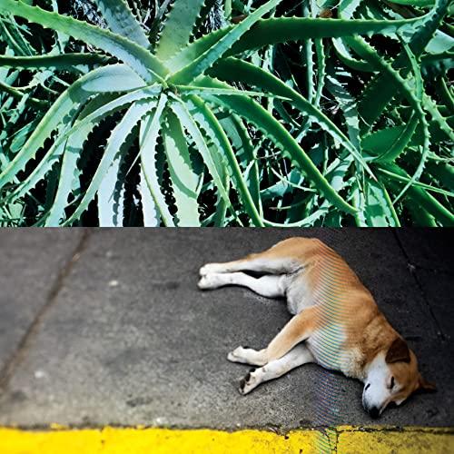 All the Things That Happen